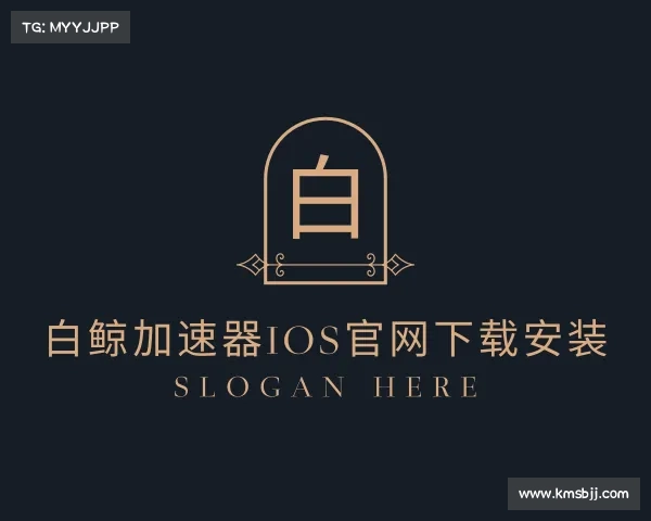 发现白鲸加速器ios官网下载安装